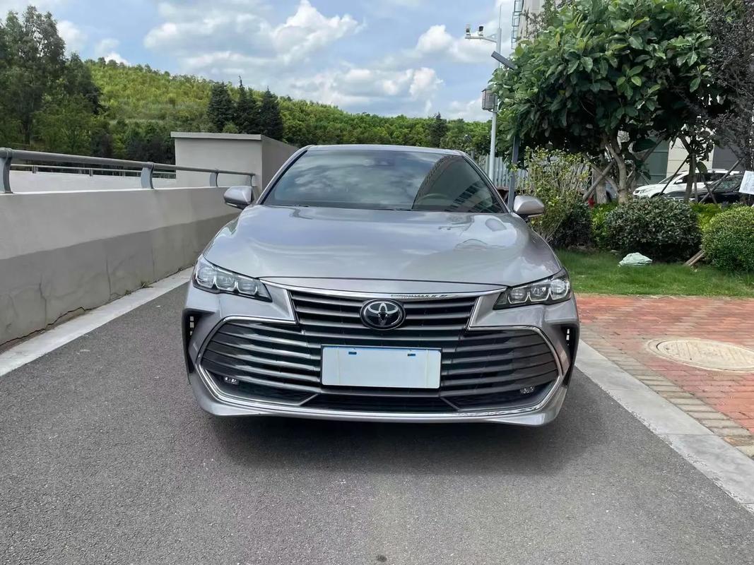亚洲龙